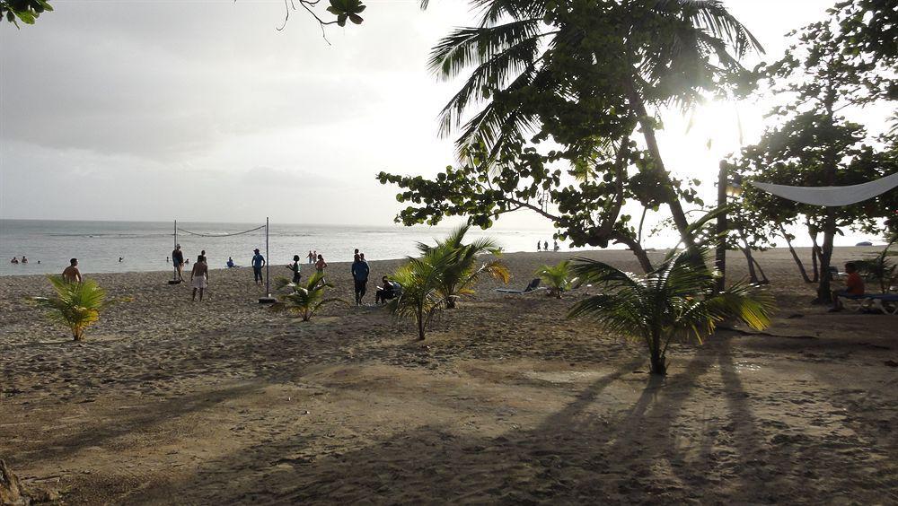 סן פדרו דה מקוריס Barcelo Talanquera Beach מראה חיצוני תמונה